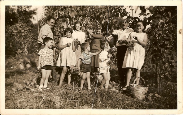 Vendemmia%20anni'60%20fam%20Bonacci