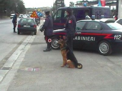 Calvi Risorta: RAID FURTIVO ALLA DOCIARIA SUD: BOTTINO DA 100 MILA EURO