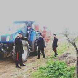 Calvi Risorta: Ritrovati nel Parco Caleno dai Carabinieri di Sparanise due trattori rubati a Carinola due notti fa