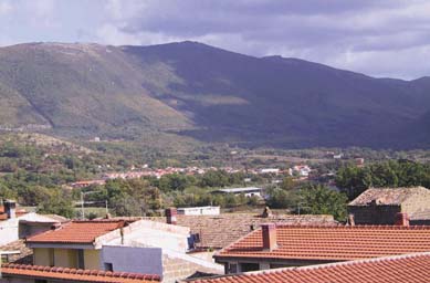 Calvi Risorta: MANCA PIU DI UN ANNO ALLE ELEZIONI E GIA MOLTI SONO I CANDIDATI A SINDACI A CALVI RISORTA 