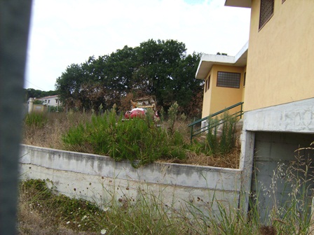 marrone_pubblico11