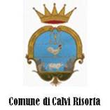 comune di Calvi Risorta.jpg
