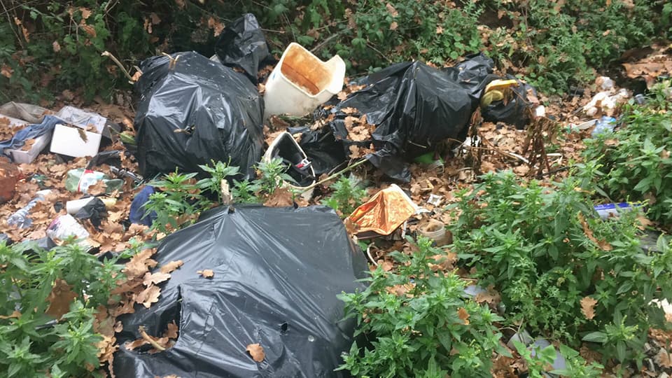 L'immagine pu contenere: pianta, spazio all'aperto e natura